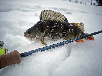 Спиннинг Black Hole Hi Light s662L — универсал без оговорок