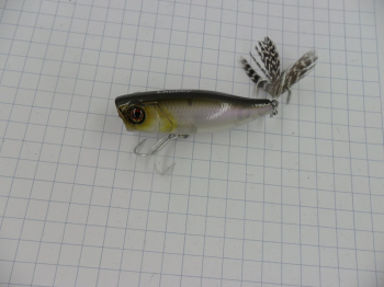 Поппер Jackall Chubby Popper 42