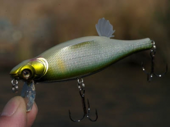 Воблер Megabass Anthrax