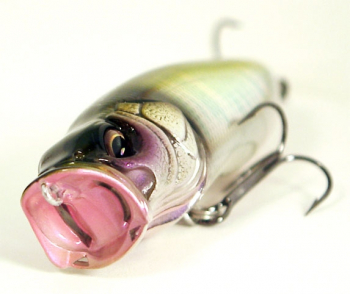 Поппер Megabass Pop Max