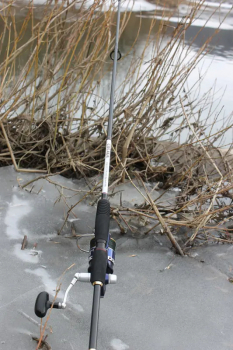 Mottomo Colada 9 9-35 — не кол, а универсал