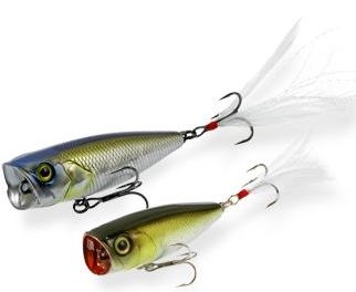 Мой трактат о поперах