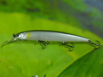 Новинка от Imakatsu: Dardo 100