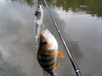 Спиннинг Favorite Professional PLS-732ML