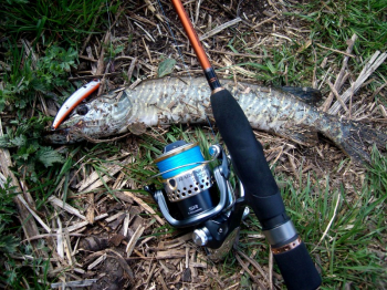 Воблер Kosadaka ULTIMA XS 90F