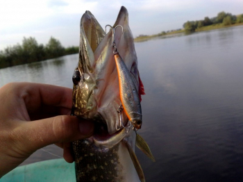 Воблер Owner C'ultiva Rip'N Minnow 65