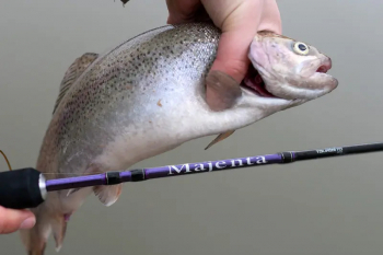 Открытие сезона, формула счастья и Tsuribito MAJENTA 632UL