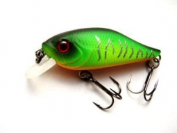 Pontoon 21 Cheerful против Aiko Jovial Shad