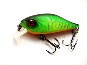Pontoon 21 Cheerful против Aiko Jovial Shad