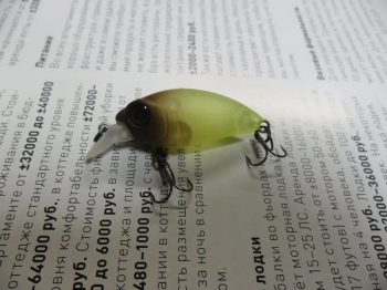 Smith Camion. Голавлиный убийца.