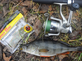 Тестирование съедобки Lucky John