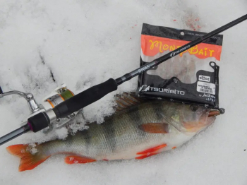 Trophy «bass» & Tsuribito Porky Chunk Jr.