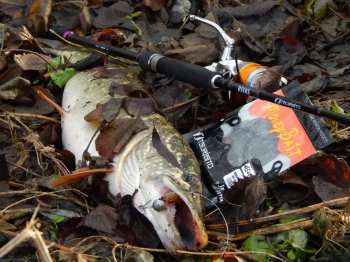 Tsuribito-Jackson Rivas & Jig fishing
