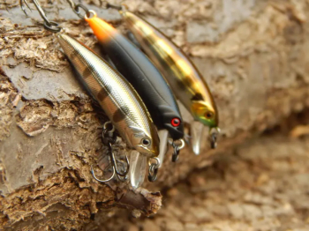 Tsuribito Minnow 35: аплодирую стоя!