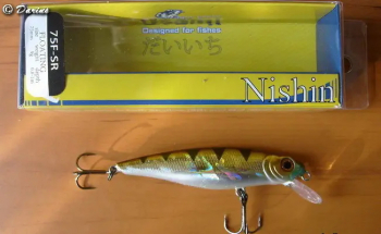 УСАМИ НИШИН — тест драйв 2011 года...