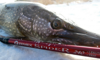Спиннинг Zemex Spider 240 5-28