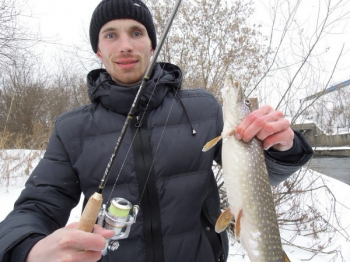 Zemex Viper s-210 1-5. С акцентом на равномерку.