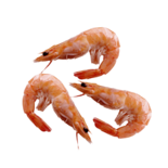 Креветка