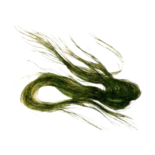Шелковица