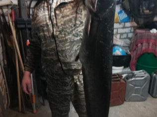 Гоз Евгений