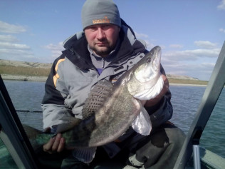 Лесин Александр