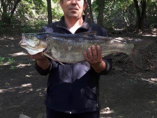 Мазин Михаил