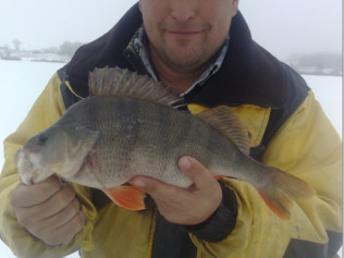 Прохоров Александр