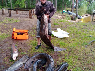 Ванюшкин Сергей