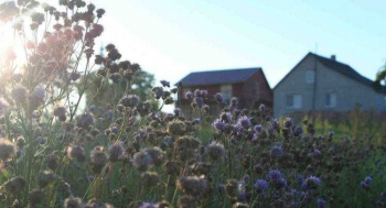 Агроусадьба "Рыбацкий хуторок"