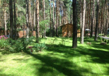 База отдыха "Чайка"