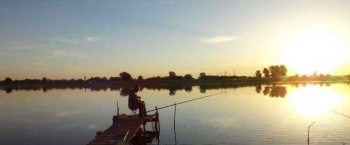 База отдыха "Ивушка"