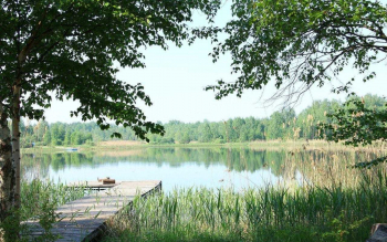 База отдыха "Мельница"
