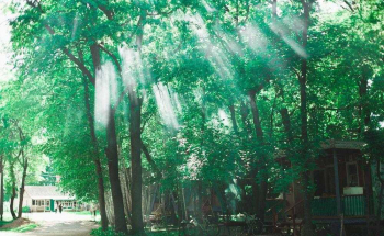 База отдыха "Металлист"