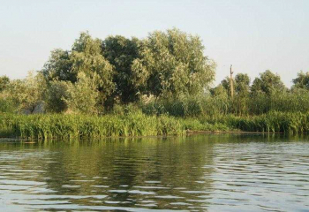 Дом для рыбаков и охотников в дельте Волги