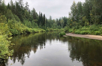 Клёвая рыбалка на хариуса