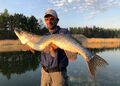 Ловля трофейной щуки в Финляндии