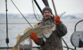 Морская рыбалка на катере в Баренцевом море, Териберка