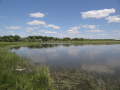 Пруд у с. Широкополье