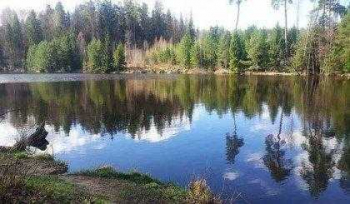 Рыбалка Отрадное