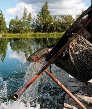 Рыбные Пруды