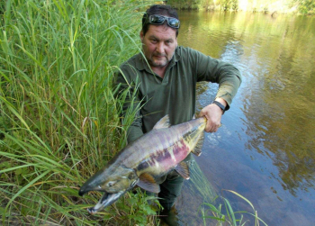 Рыболовный тур по рекам северо-запада Сахалина