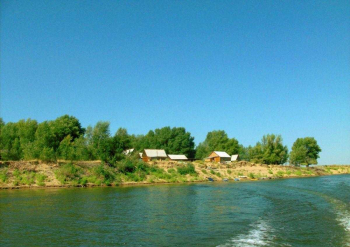 Турбаза "Алимовский плес"
