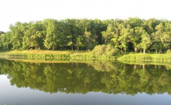 Турбаза на Черкасском затоне