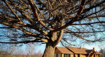 Усадьба "Кантри"