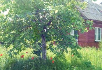 Усадьба "Озерный край"