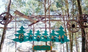 Усадьба "Ёлочки Holiday"