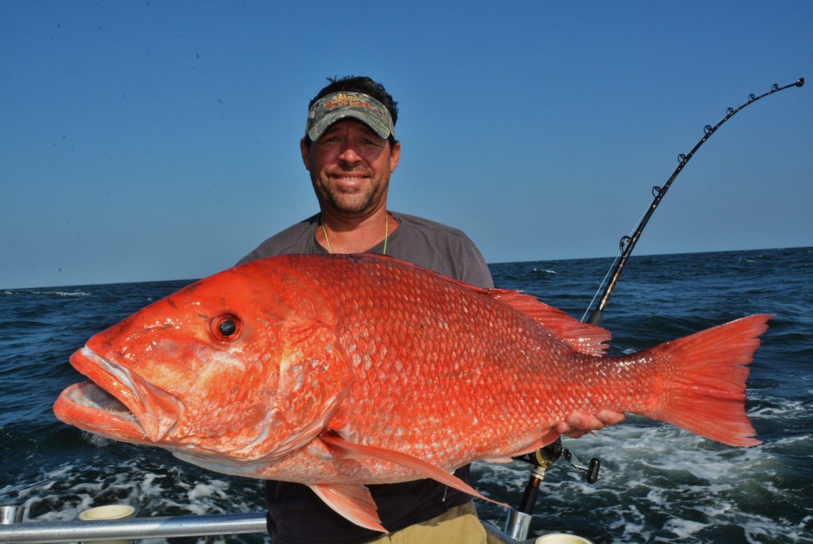 Red Snapper и Grouper