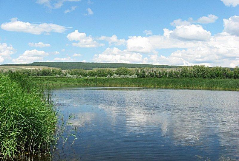 Пруд Черноморец