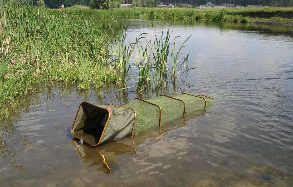 Садок на карпа