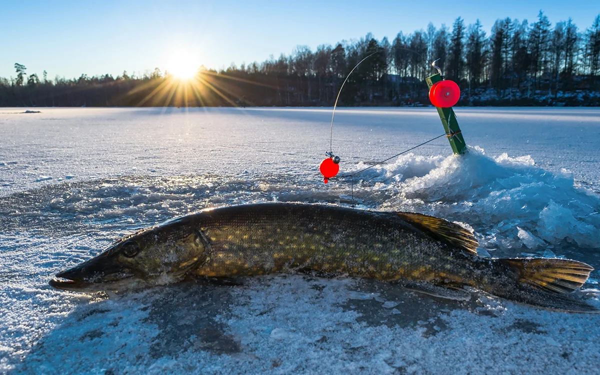 Рыбак зимой